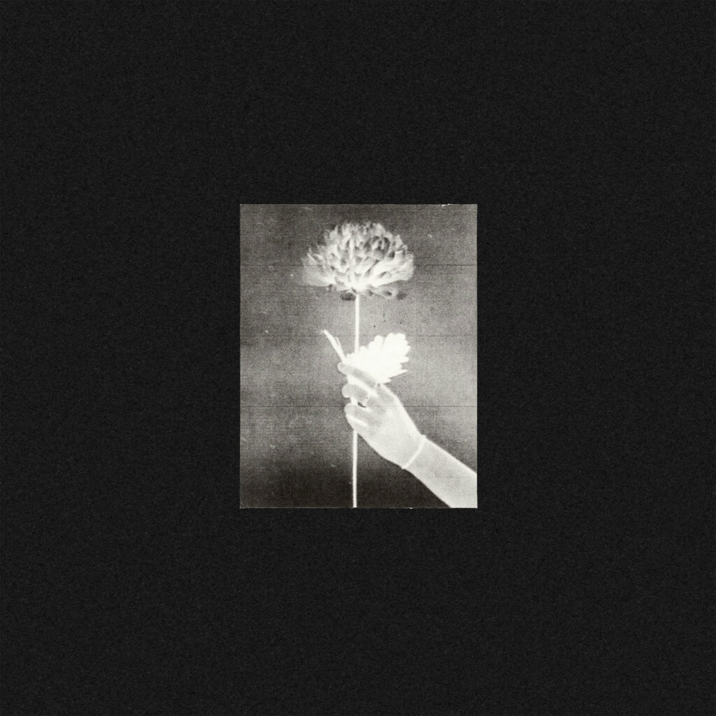 White Flowers - Day By Day - Album Review - Loud And Quiet